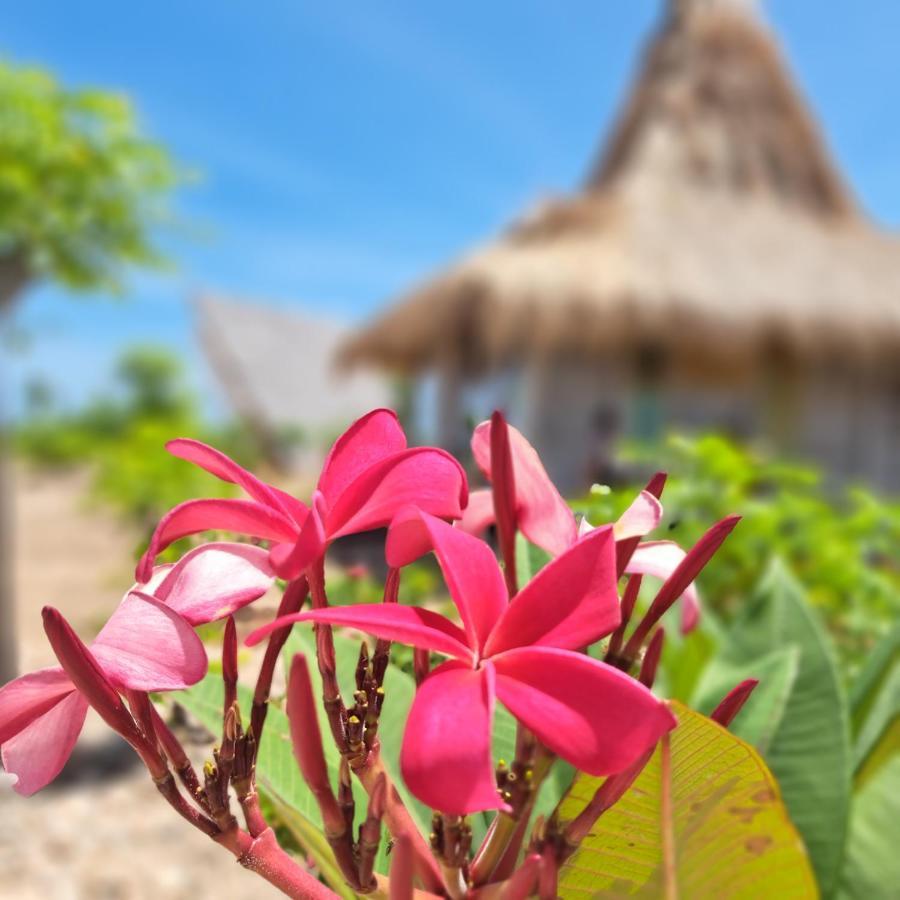 Hars Garden Sumba Hotel Waingapu Exterior foto